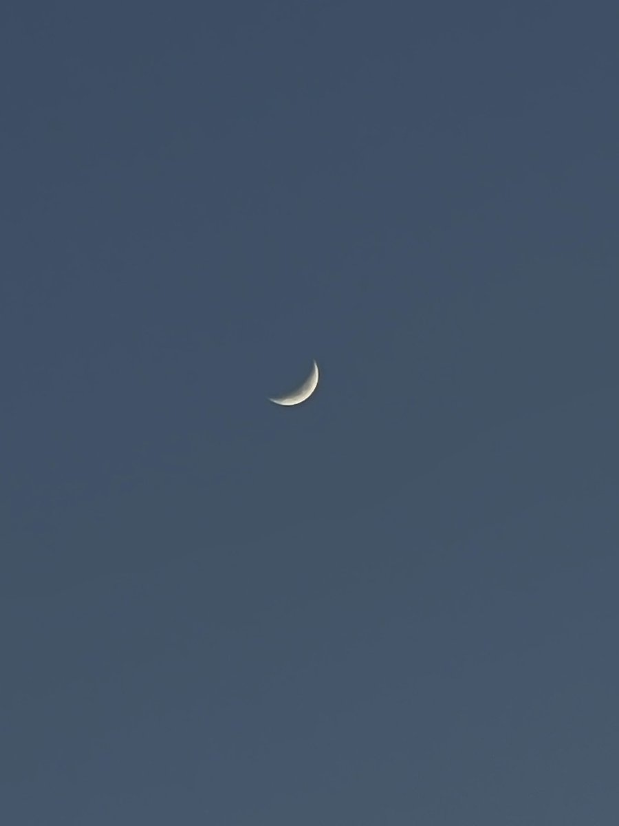 Sopitaت tweet media