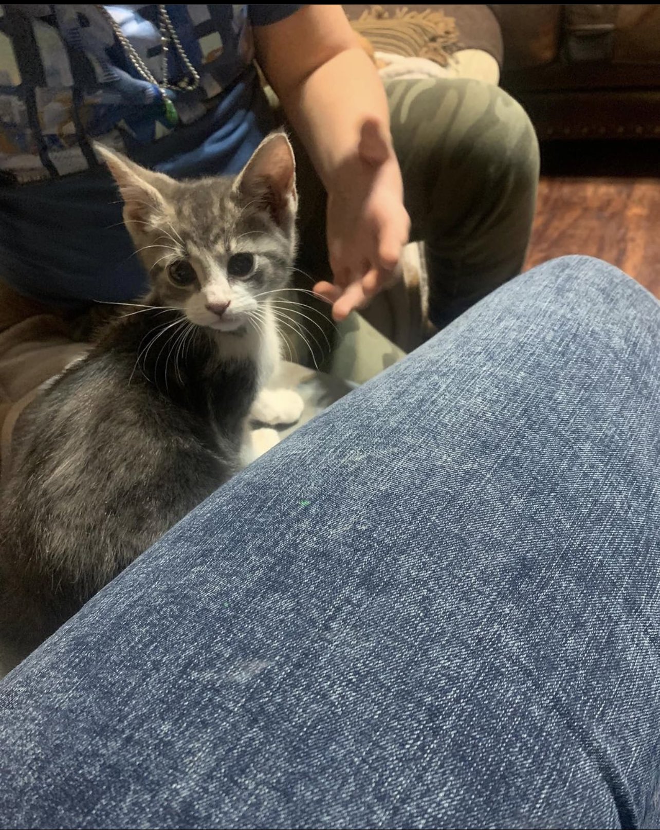 Mercy🌸 on Twitter "butteredkayla Here’s a picture of my moms new
