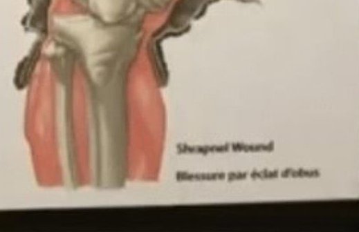 one would think that over the course of obtaining a PhD, he would have learned to read