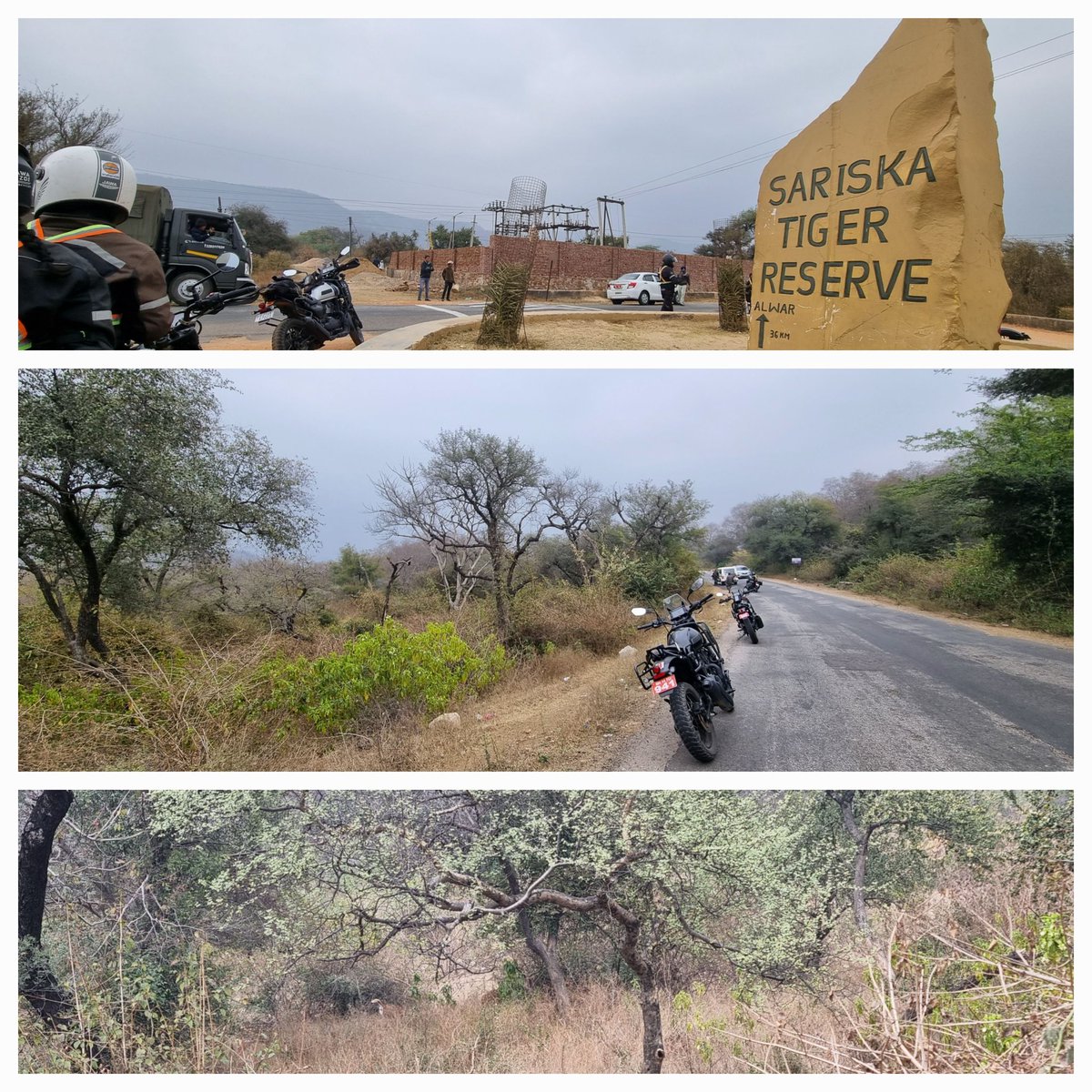 lt_ukti's tweet photo. #jawayezdimotorcycles rally passed through a beautiful view of The Sariska Tiger Reserve, a National Park and The Tiger Reserve located in the Aravali hills, passing Animals,variety of birds real adventurous journey  @ArvindKapoorTYG @HQ_DG_NCC @jawamotorcycles @NCC_Dte_Gujarat https://t.co/4khWChL1aH