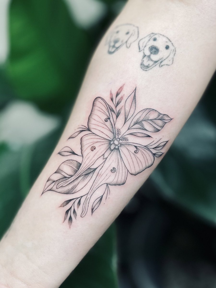 jocelyn vlores tweet media