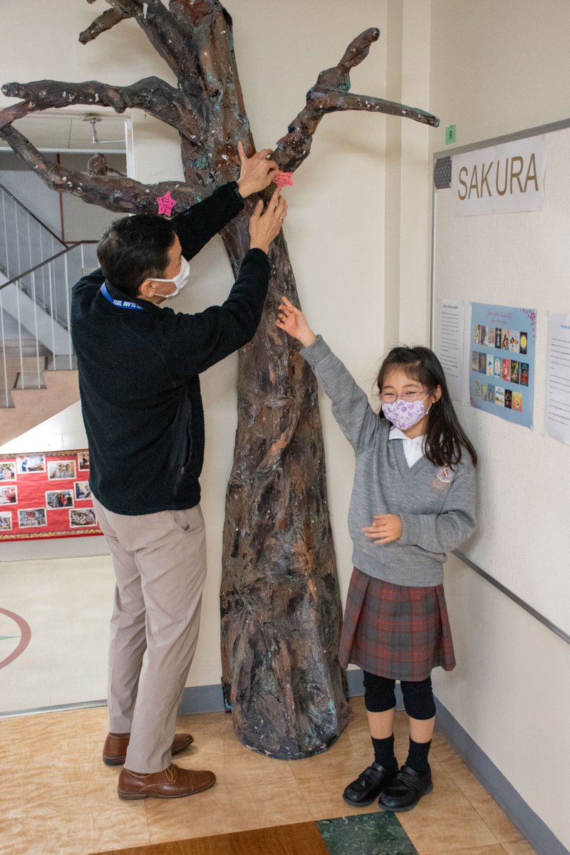Grade 2 students had a lovely time in the #library, creating the first stars for our 2023 Sakura Medal Tree which Mr Matsumoto helped to put up. Our Sakura Medal tree has started to bloom with colourful sakura, celebrating our students' #reading. @sakuramedal