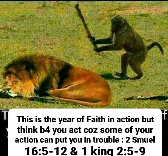 RevGalance's tweet photo. Faith demand action.. https://t.co/jnsG7PruOi