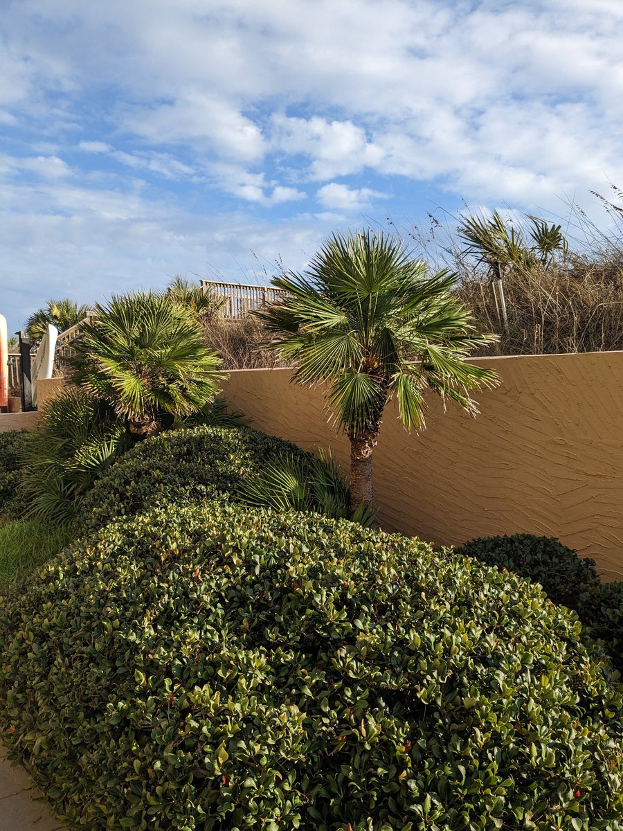 d_bead's tweet image. I'm walking in the presence of the  Almighty &amp;amp; all His majesty. There is a light that shines, especially for you &amp;amp; me. #mindful #grateful #centered #focused #thankful 🙏🏾