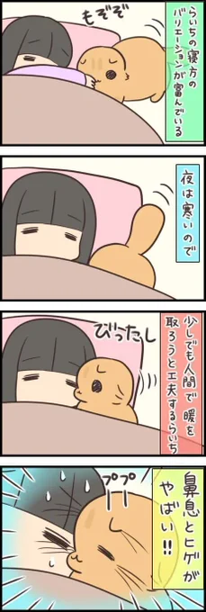 頬に当たる鼻息すら愛おしい!猫の添い寝はバリエーションいっぱい【連載】もふもふスコたん#262|ねこのきもちWEB MAGAZINE https://t.co/KaLZSR3Iui 