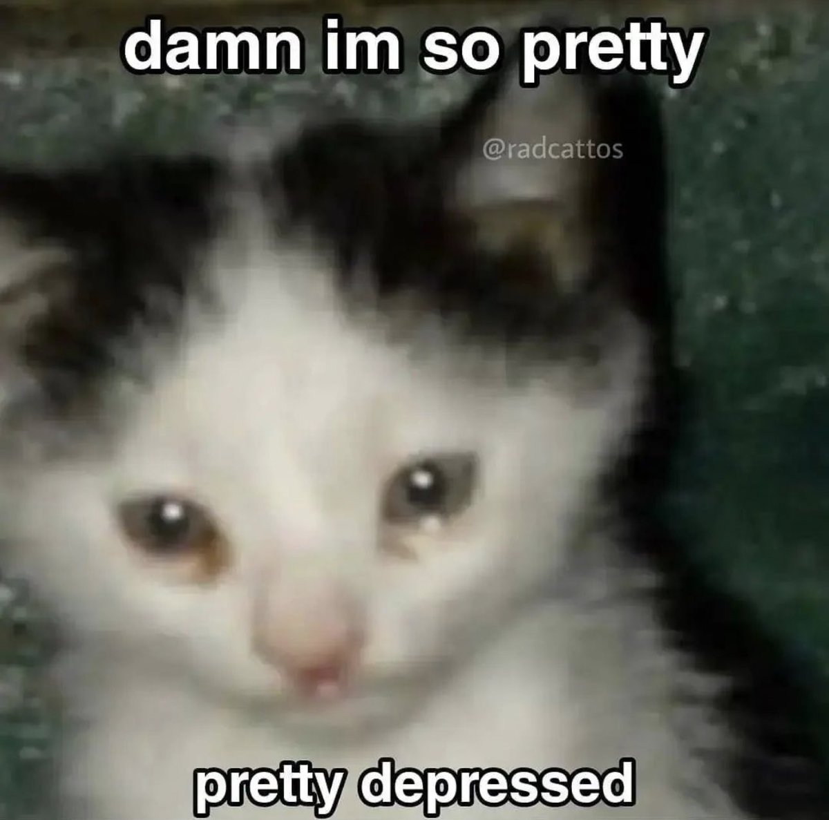 pretty ✨ depressed 🥺
