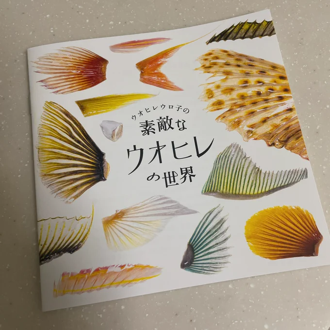 素敵なご本を購入させていただきました🥹✨美しい鰭!! 