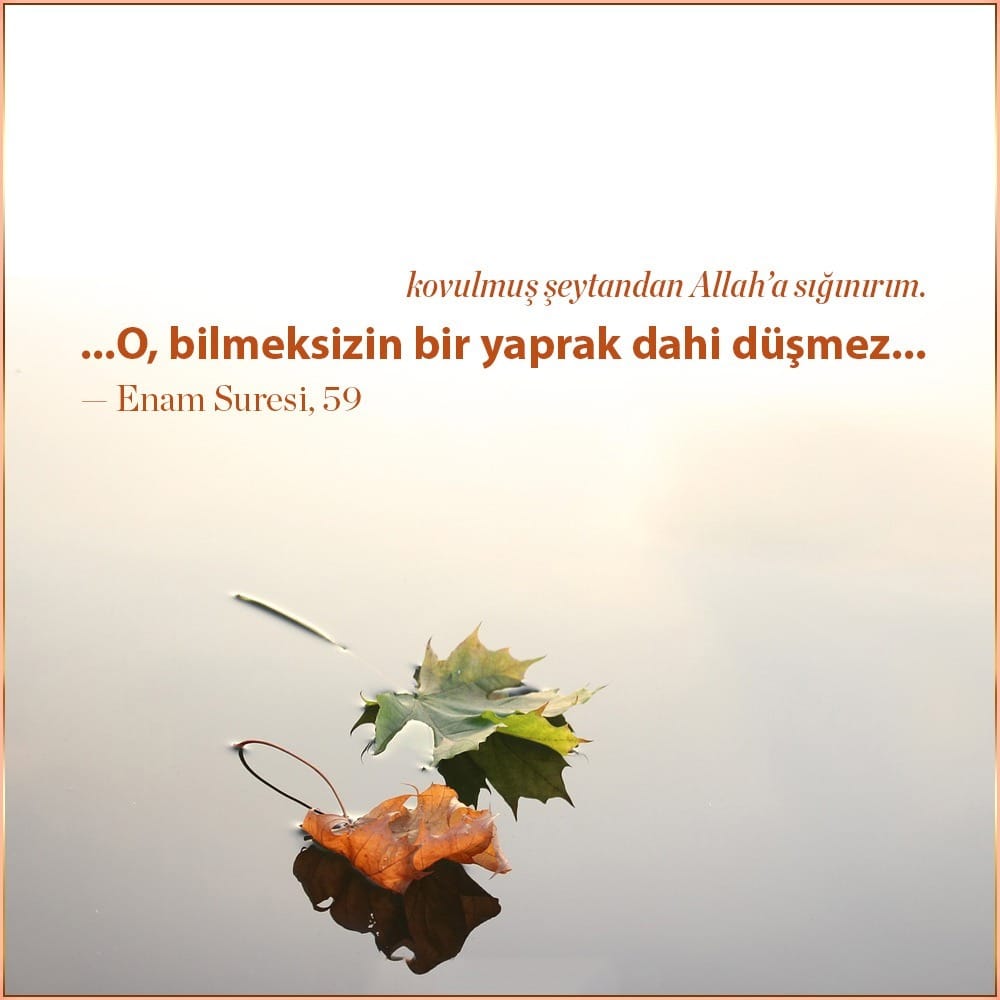 ...O, bilmeksizin bir yaprak dahi düşmez...— Enam Suresi, 59