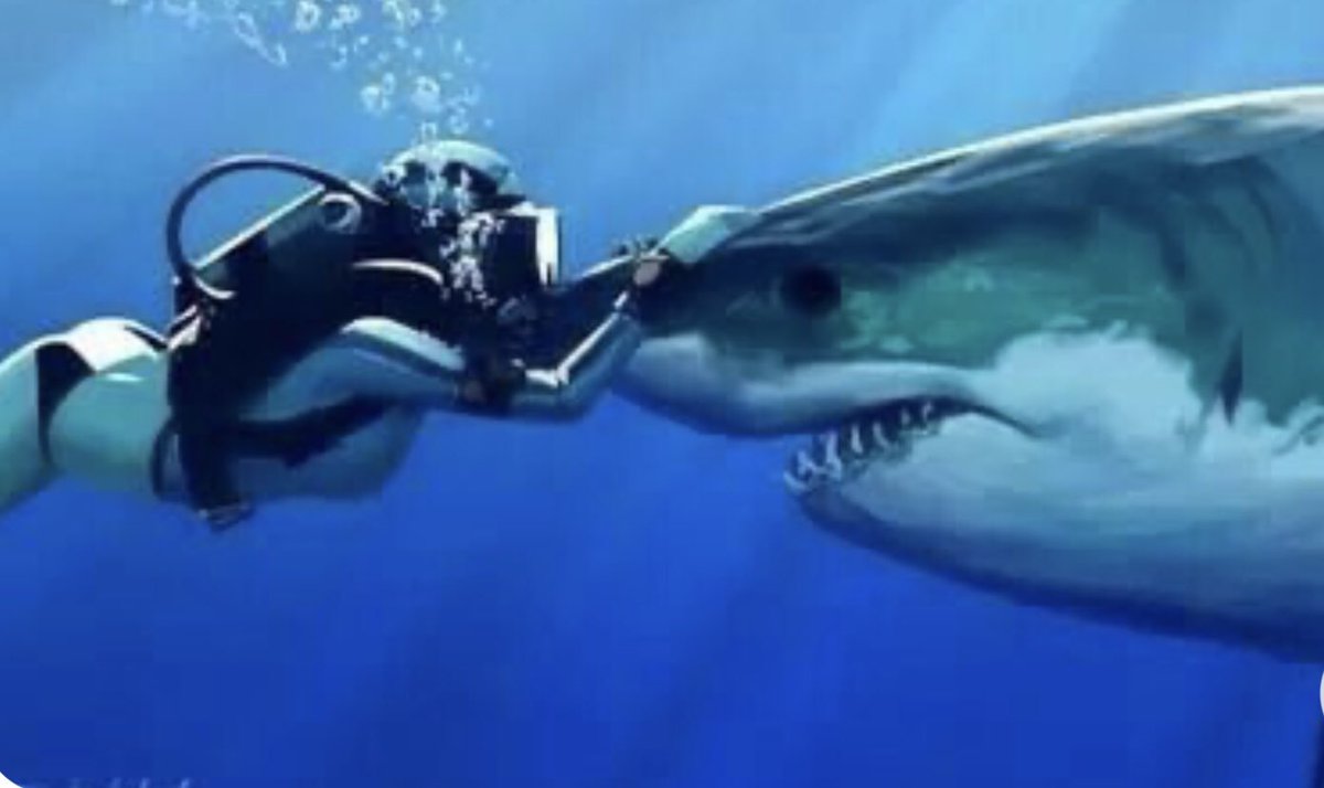 BMarlene_'s tweet photo. January 26th
#KissaSharkWeek
I choose the left couple. https://t.co/D2OyowTQrm