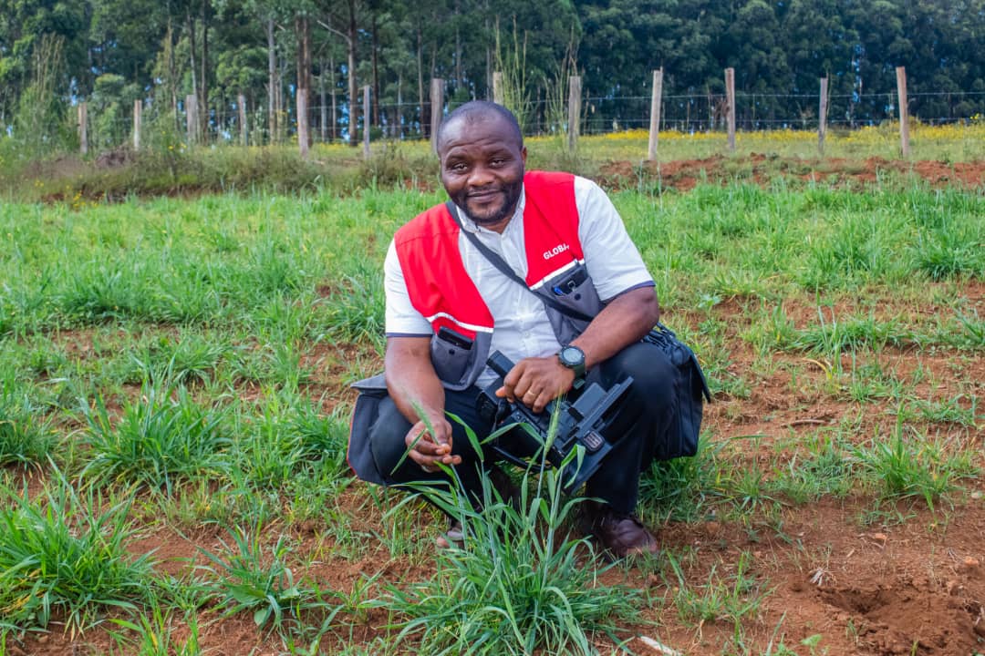 We visited the Nkambe Council Wheat test farm in Donga Mantung Division.What a joy to touch the wheat life.
#We need to invest on our own.
#consume our own and 
#Be our own.