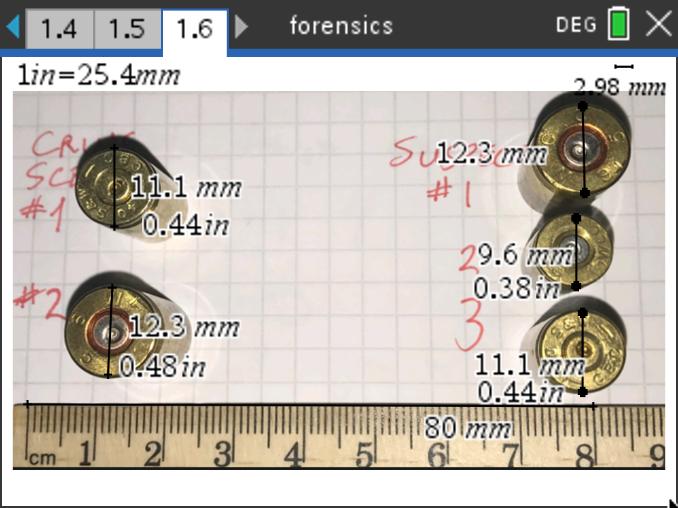 Mr. Bird tweet media