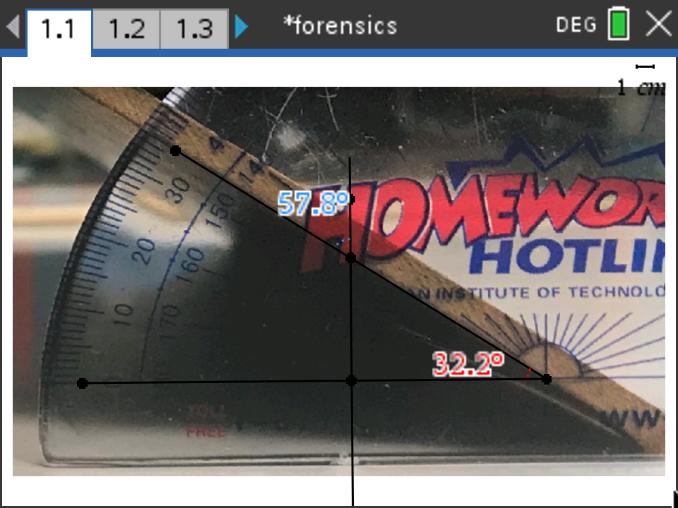 Mr. Bird tweet media