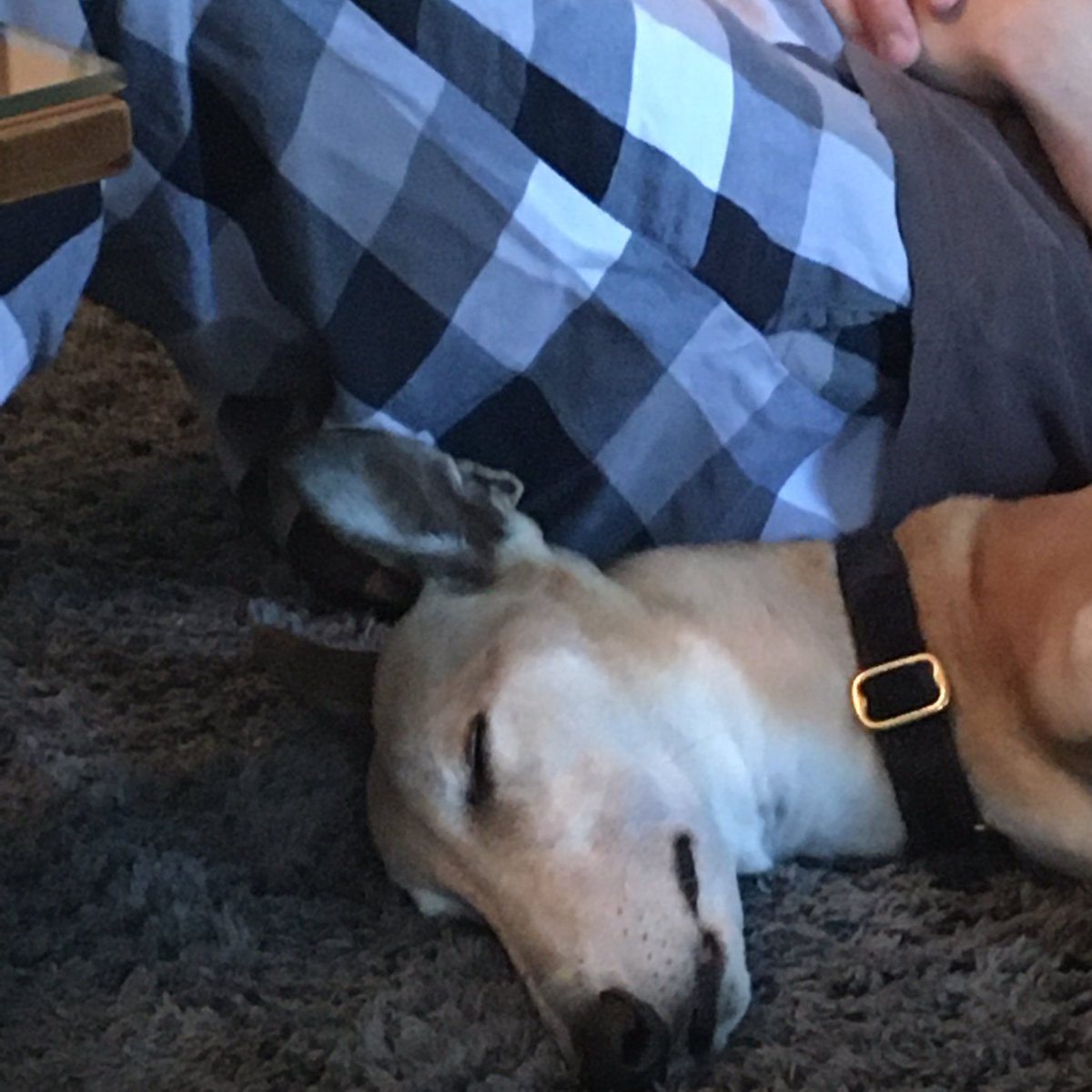 Katherine Hartmann tweet media