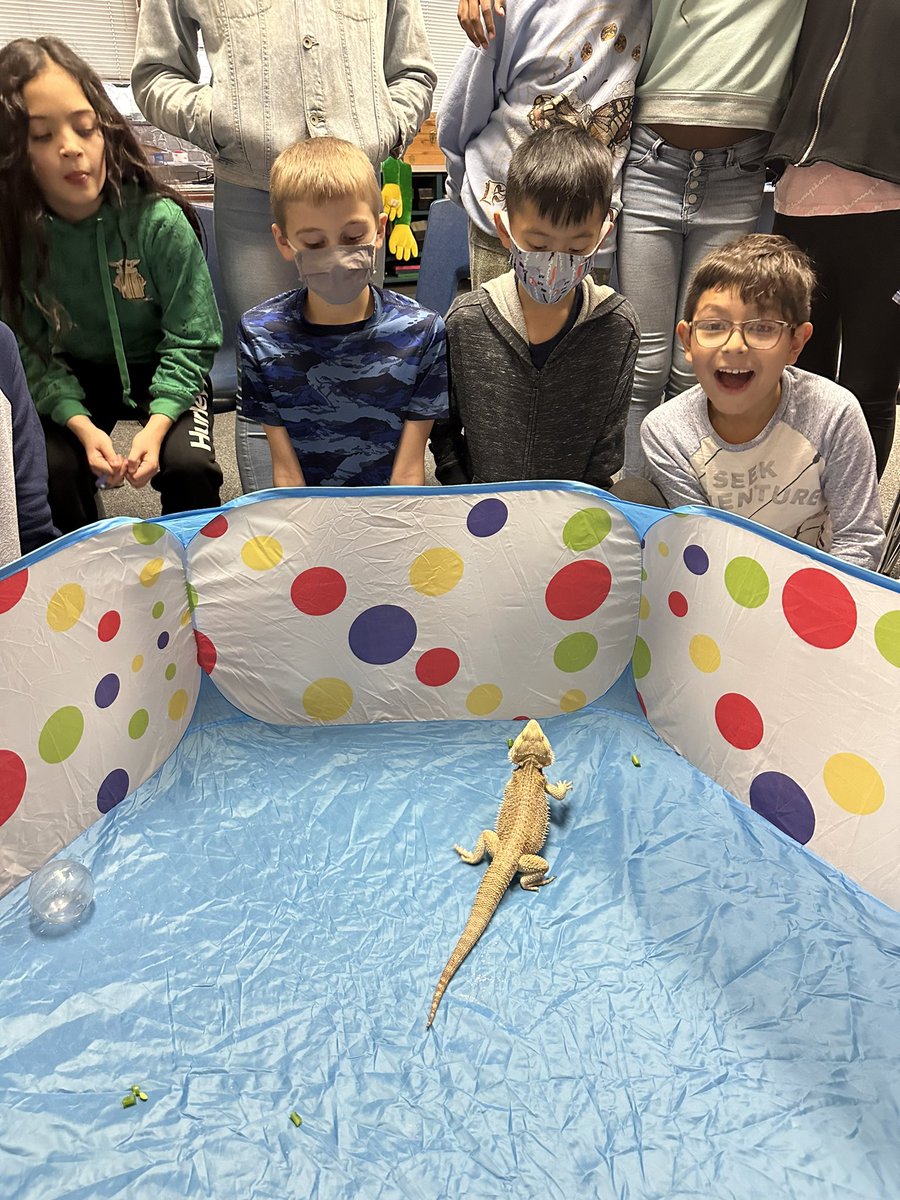 Vita Carnduff tweet media