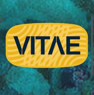 VitaeUCV's tweet photo. Únete con un artículo o caso clínico al relanzamiento y puesta al día de la revista VITAE, Academia Biomédica Digital
Visita https://t.co/6Bdpf1uLVK - https://t.co/gRF5AQStZH #UCV #UNIVE @saberucv  @asovaccaracas  
@patitaequeso @harrechedera @toromerlo @ftapia https://t.co/JQ65WWCPpB