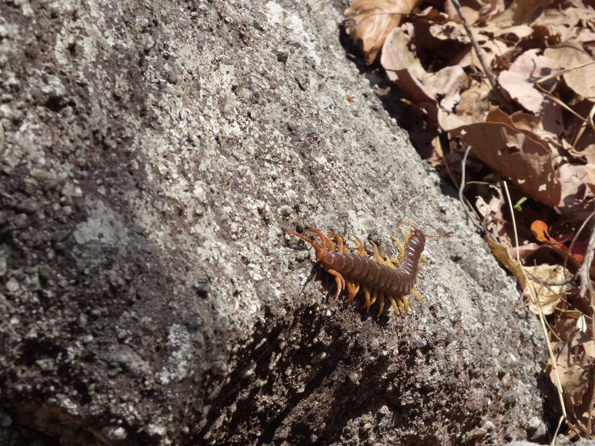 Kirill Traveling tweet media