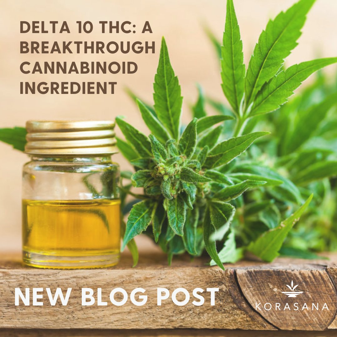 Delta-10 THC is the newest development in the cannabis world, and in our latest blog post, we cover what it is, the effects, the varieties, and the differences.

Read More: korasana.com/blogs/news/del…

#cbd101 #cbdinfo #cbdproducts #hemp #cbdcommunity #hempcommunity #cbd #thc