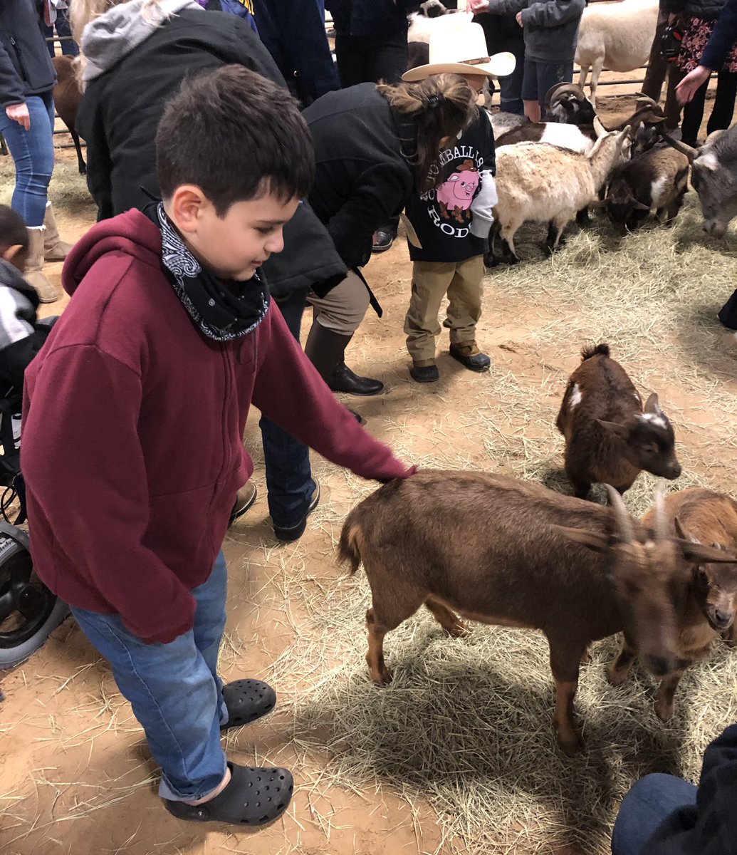 Garrett_TES's tweet photo. At the petting zoo, for the annual Tomball FFA Rodeo we saw goats, pigs, sheep, a cow, donkey and even a camel. Well of course there is a camel ‘cause guess what day it is! Hump day! 
@TomballISD, @TStudentSupport, @gibby1112, @nannewt, @TISDTES https://t.co/KKlKjuZ6VM