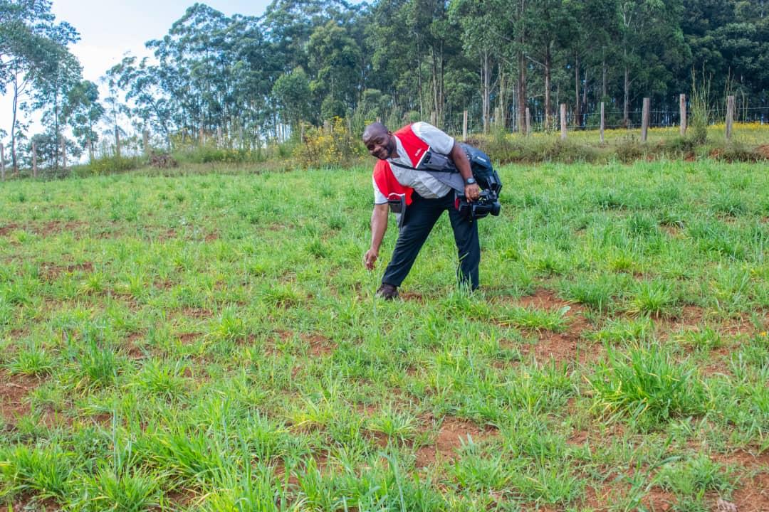 GeraldNgeh's tweet photo. We visited the Nkambe Council Wheat test farm with Mayor Nfor Musa Shey in Donga Mantung Division.What a joy to touch the wheat life.
#We need to invest on our own.
#consume our own and 
#Be our own. https://t.co/0GgTIMcg97