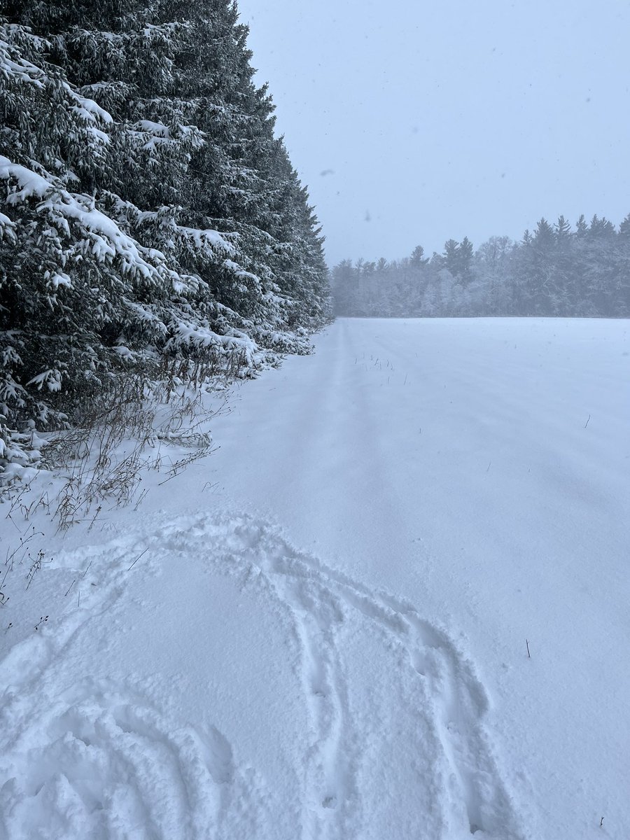 MsHeyens's tweet photo. Todays walk looked a little different than yesterdays! But still worth it โ๏ธโ๏ธ #SelfPD #MentalHealthMatters
Can you spot the pup in the first pic?๐ถ๐ https://t.co/MXLae53lIH