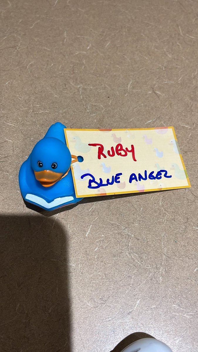 MyersKurt's tweet photo. Got two ducks tonight at the #TreasureCoastJeepClub social at #cwwillis. Thank you #BlackPearl! Thank you #ruby and #blueangel #duckduckjeep #duckingjeeps https://t.co/ugbyPf1Coh