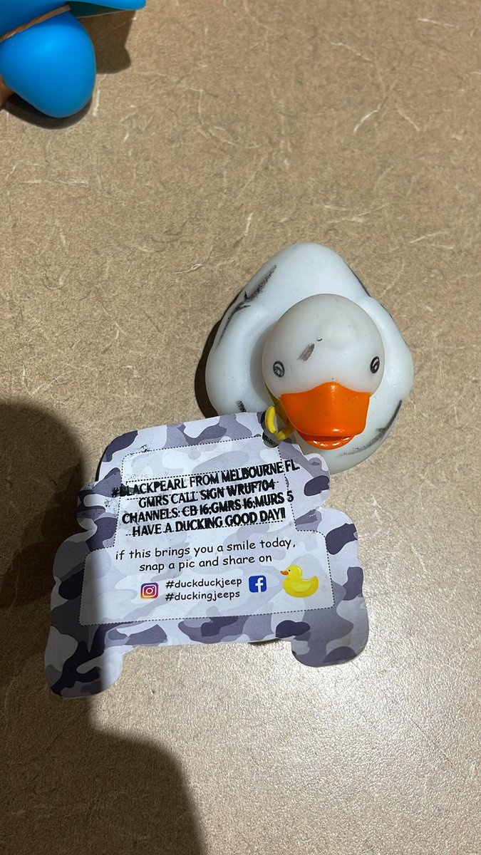 MyersKurt's tweet photo. Got two ducks tonight at the #TreasureCoastJeepClub social at #cwwillis. Thank you #BlackPearl! Thank you #ruby and #blueangel #duckduckjeep #duckingjeeps https://t.co/ugbyPf1Coh