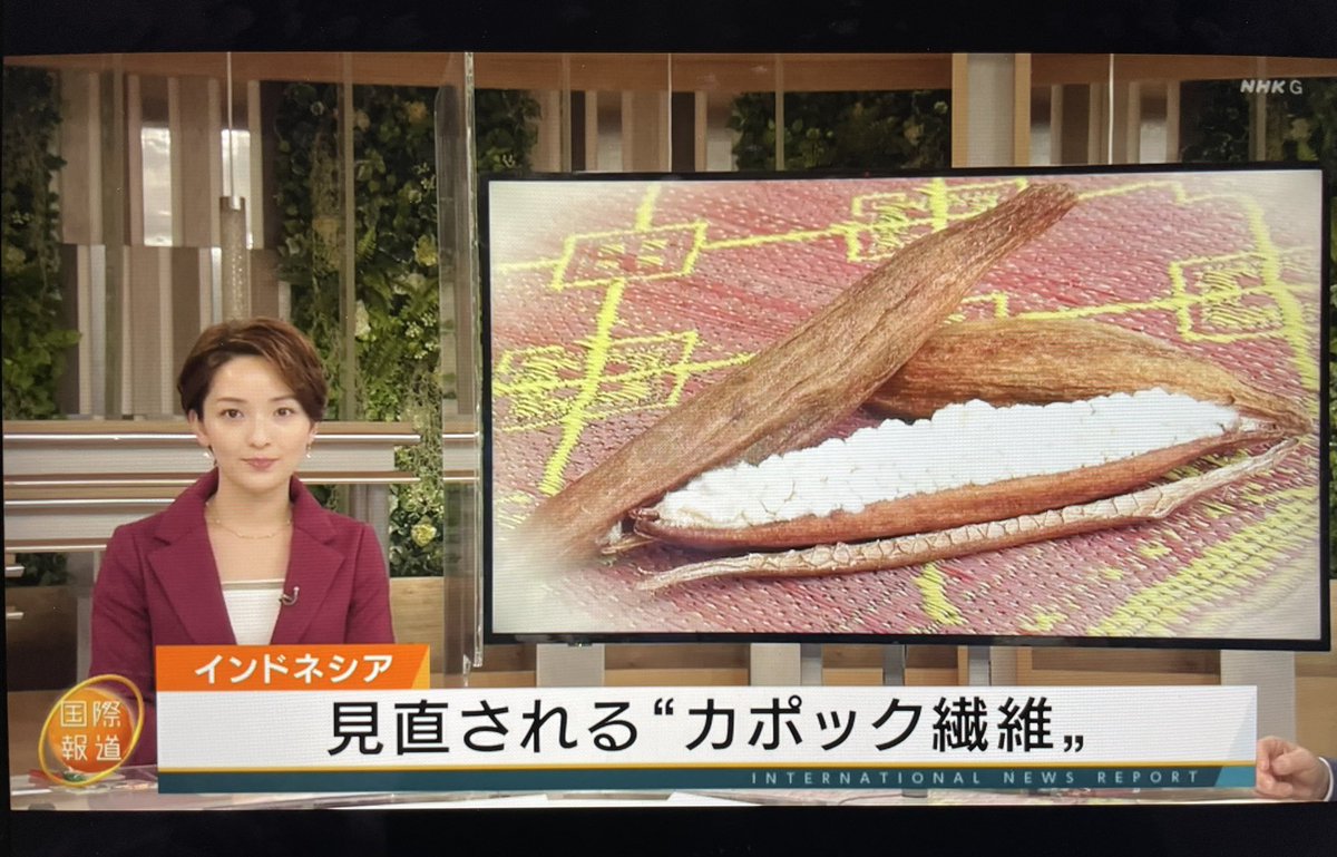 なんと、、、
先日NHKさんに密着いただきました！
インドネシアから店舗まで、僕がブランド設立以来ずっと大事にしていた"Farm to Fashion"に、全ての取材。

誰もが取り入れたくなるサステナブルブランドを目指し頑張りますので、
これからも応援よろしくお願いします！

事業拡大に伴う求人は↓