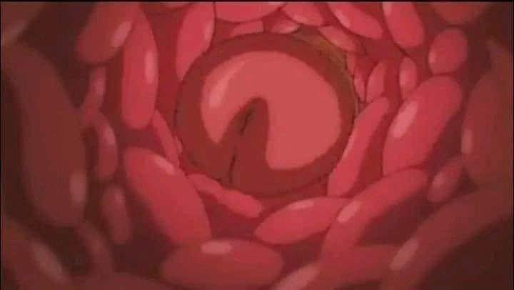 "La felicidad no existe"

La felicidad: