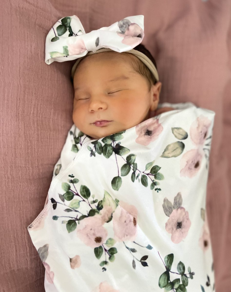 Annie Loy tweet media