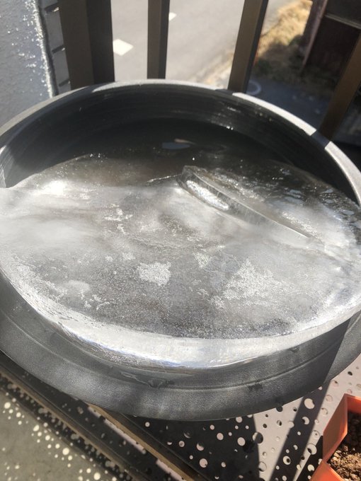 ビオトープの氷偉いことになってた 