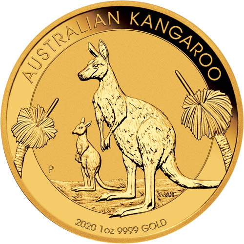 calgoldsilver's tweet photo. Flash Sale Gold Kangaroos Spot plus $65 - https://t.co/978rrgVFn5 https://t.co/PbmoWmTejE