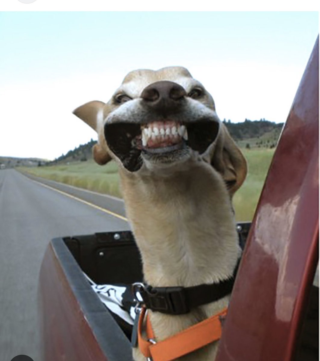 Going for a ride-a-long in one of our snow plow trucks tonight. Wonder if this is what it will feel like?  Stay tuned for updates!  #cbridge <a href="/cityofcambridge/">Shitty of Cambridge</a> <a href="/PickelPressCTV/">Jeff Pickel</a> <a href="/DesmondRecord/">Paige Desmond</a>