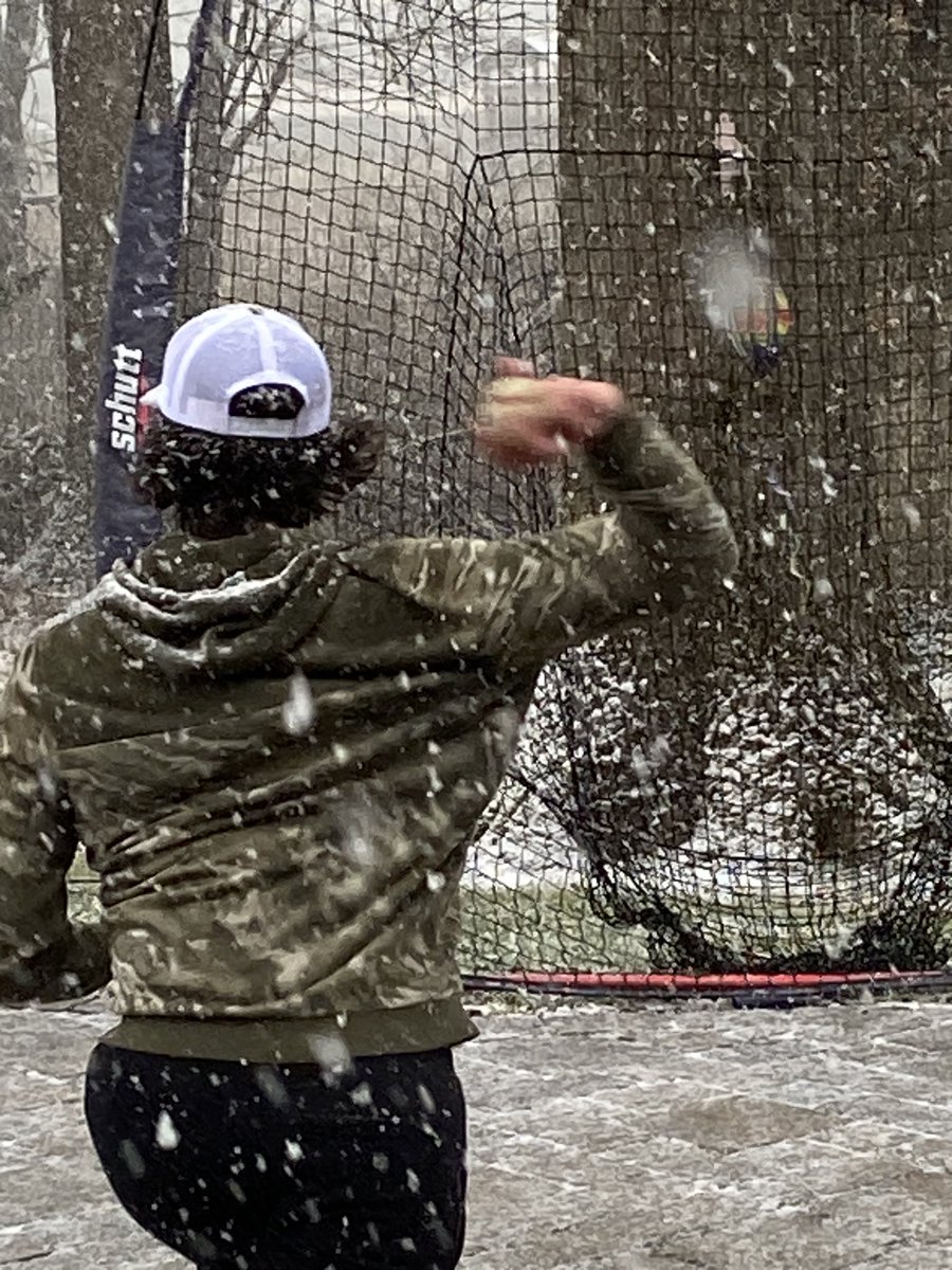 cappollina tweet media