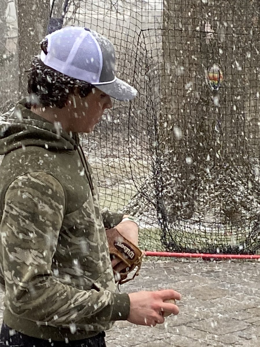 cappollina tweet media