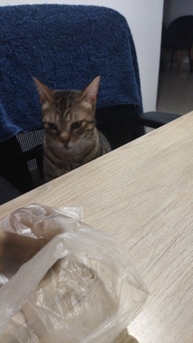 Sin cena