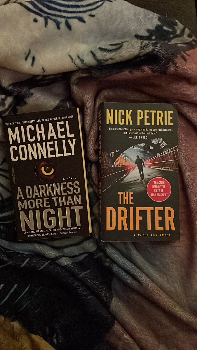 I need help picking my next read so I’m leaving it in the hands of the interwebs. Make up my mind in the replies 📖🤓
#amreading