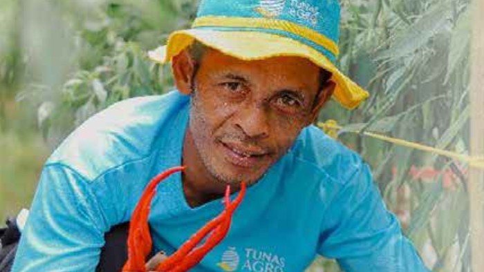 Harga cabai bergejolak yang membuat mimpi petani mendapat untung hilang seketika. Namun bagi sebagian petani, si pedas tetap menjadi usaha tani yang menggiurkan alias manis hasilnya.  Seelengkapnya bit.ly/3HwS3hK Hanya di <a href="/myedisi/">myedisi</a> @tabloidsinartanicom