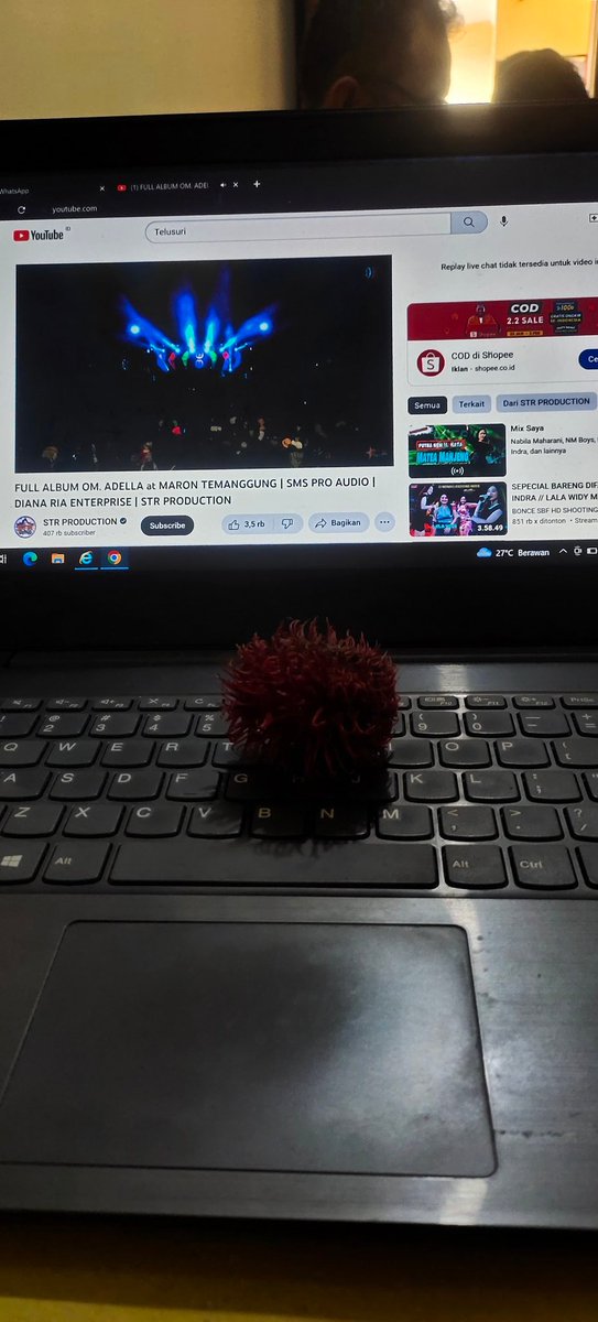 Selera minim