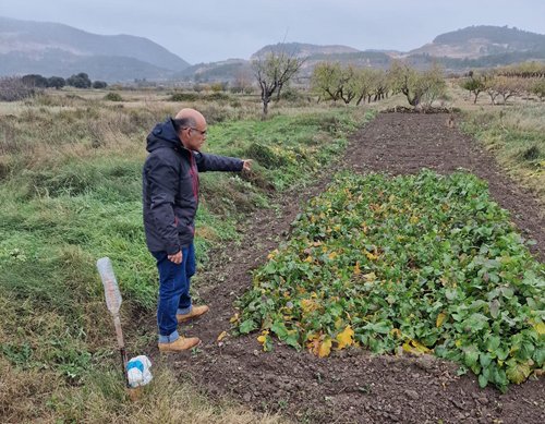 eamnupv's tweet photo. 😃Muy contentos de la excelente labor investigadora que realizan nuestros 👩🏫👨🏫profesores:
👉un equipo del #COMAV, liderado por Salvador Soler, obtiene el reconocimiento del Nabo Fino de La Yesa como variedad de conservación del Ministerio.
🗞️ INFO: https://t.co/n0DyaX6OmK https://t.co/FTkUkrfgvs
