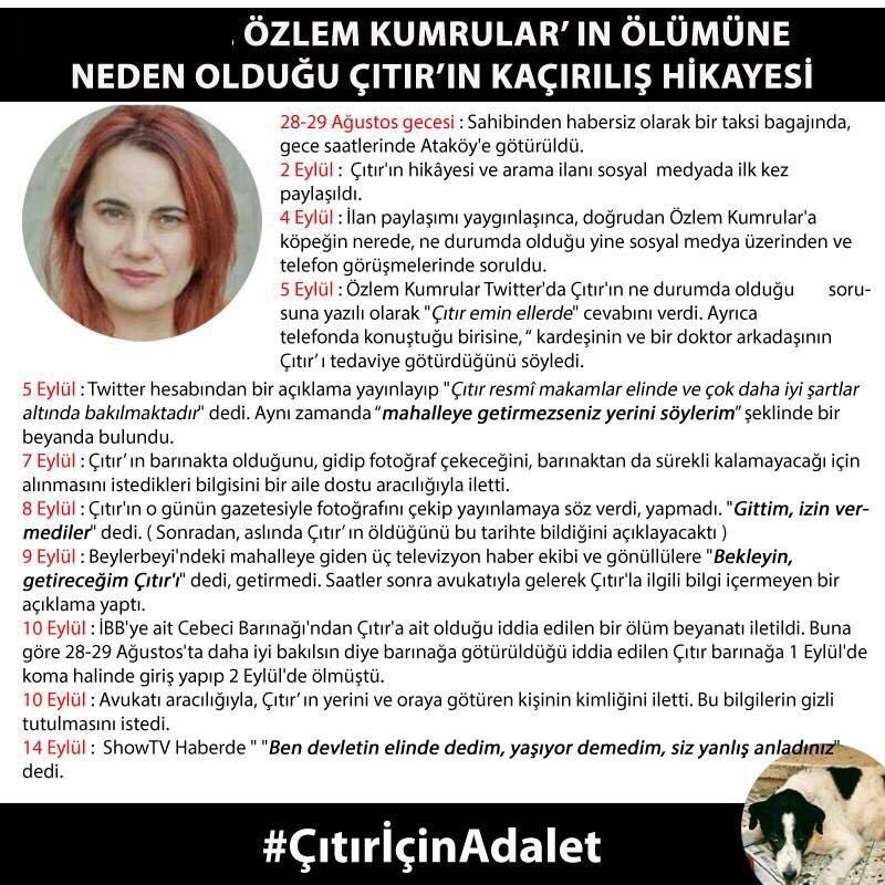 Ilk paylasimda etiketli ozlem kumrular da sikintili bi tipmis.