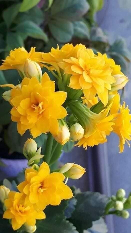Tere (@trcas) on Twitter photo 