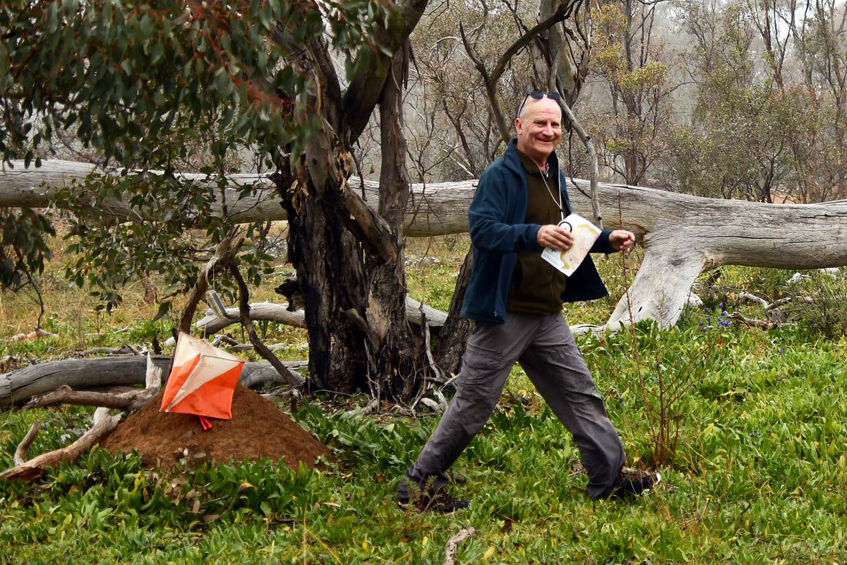 Orienteering ACT tweet media
