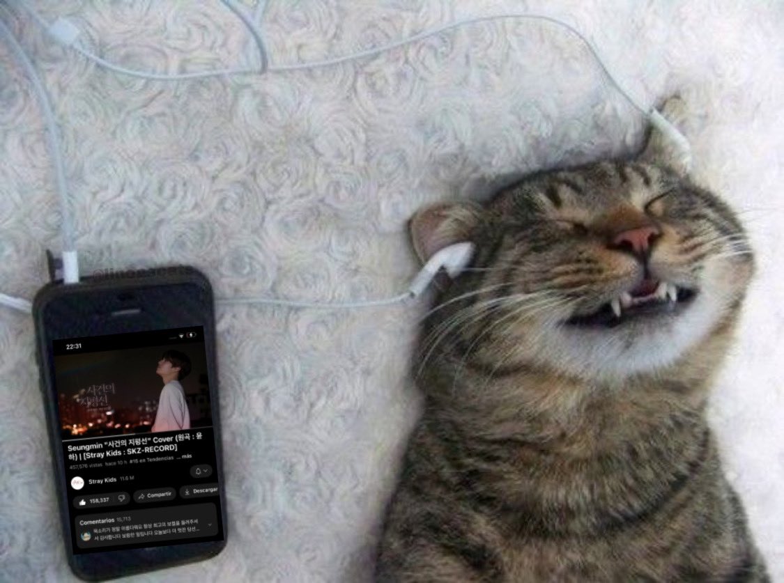 linoascats's tweet photo. lee know right now: https://t.co/NzyUyWNYTT