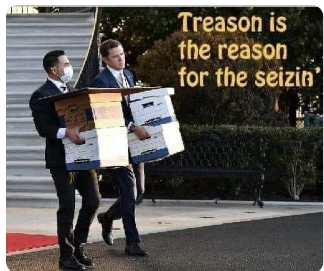 LemanskiMona's tweet image. #InsurrectionLLC