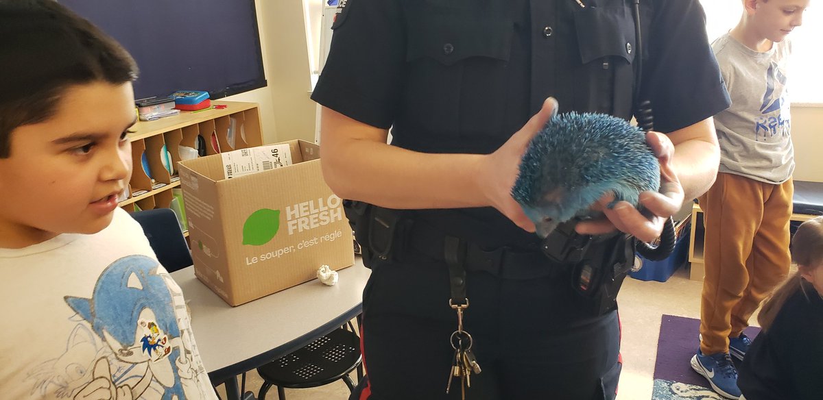 Our amazing School Resource Officer and her pet Sonic the Hedgehog came to visit us today. <a href="/EJSMSchool/">Ecole J S McCormick</a>