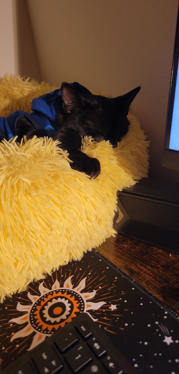 //she has been sleeping literally all day 🥺