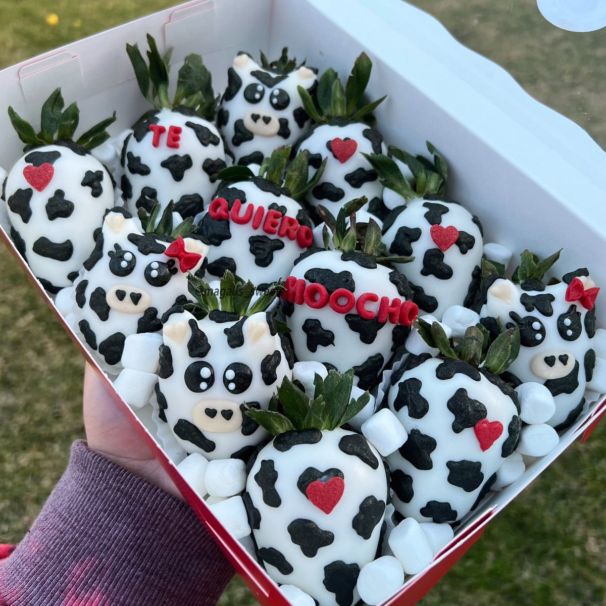 magalis_sweets's tweet photo. Te Quiero MOOcho 🥹🐮❤️ https://t.co/J8wby4atIi