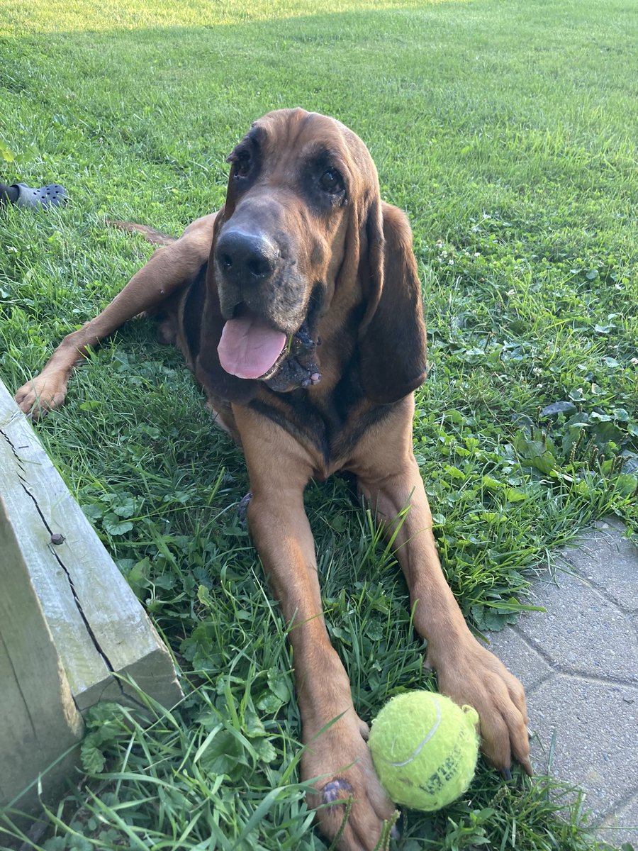 @UVA @UVAPolice Hank wishes Maggie all the best in her training!