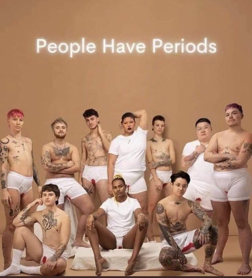 Layah Heilpern tweet media