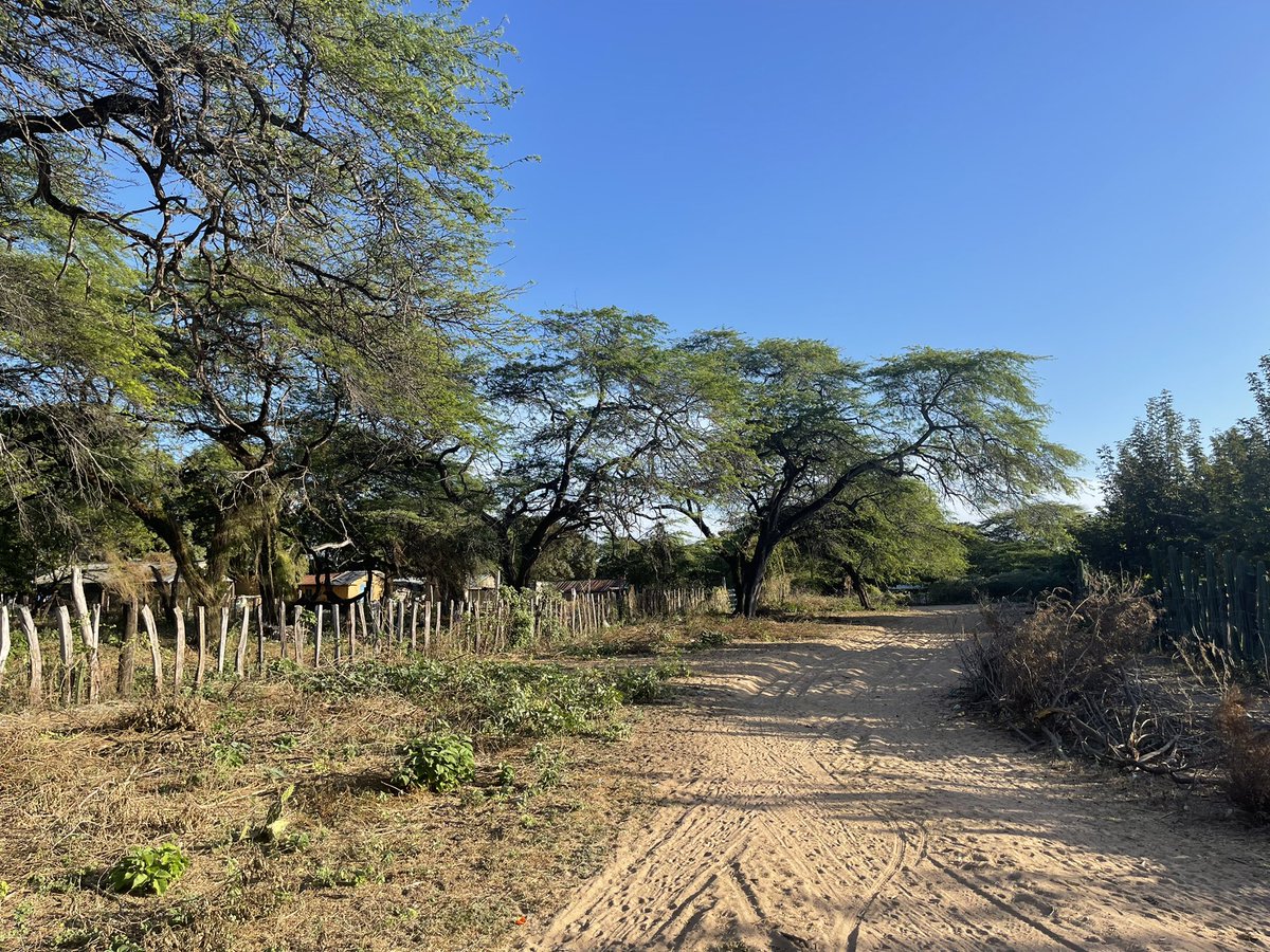 luisfcocabezas's tweet photo. Rodando por La Guajira, siento q regresé a mis inicios, cuando caminaba por los municipios de Trinidad Samuel en Torres en la actualización cartográfica para el censo, le doy gracias al arquitecto de este mundo ponerme donde puedo ser útil, seguimos #AguaSeguraPaLaGuajiraYSuGente https://t.co/imFXfxtypH